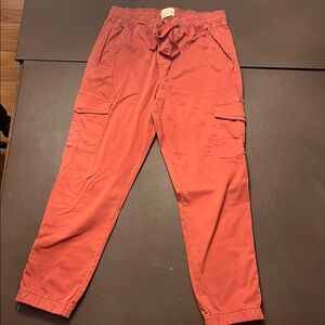 Sanctuary Red Cargo Pants with Elastic Waistband